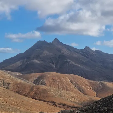 Marveo 公寓 拉·奥利瓦